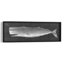 Whale Wating Ii - John Butler | Cuadro decorativo de Canvas Lab