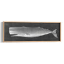 Whale Wating Ii - John Butler | Cuadro decorativo de Canvas Lab