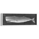 Whale Wating Ii - John Butler | Cuadro decorativo de Canvas Lab