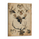 Trofeo Americano I - John Butler | Cuadro decorativo de Canvas Lab