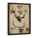 Trofeo Americano I - John Butler | Cuadro decorativo de Canvas Lab