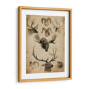 Trofeo Americano I - John Butler | Cuadro decorativo de Canvas Lab