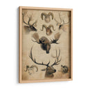 Trofeo Americano I - John Butler | Cuadro decorativo de Canvas Lab