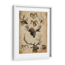 Trofeo Americano I - John Butler | Cuadro decorativo de Canvas Lab