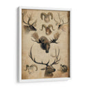 Trofeo Americano I - John Butler | Cuadro decorativo de Canvas Lab