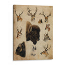 Trofeo Americano Iii - John Butler | Cuadro decorativo de Canvas Lab