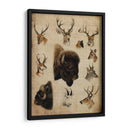 Trofeo Americano Iii - John Butler | Cuadro decorativo de Canvas Lab