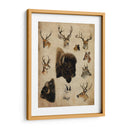 Trofeo Americano Iii - John Butler | Cuadro decorativo de Canvas Lab