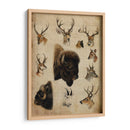 Trofeo Americano Iii - John Butler | Cuadro decorativo de Canvas Lab