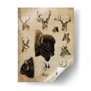 Trofeo Americano Iii - John Butler | Cuadro decorativo de Canvas Lab