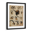 Trofeo Americano Iv - John Butler | Cuadro decorativo de Canvas Lab