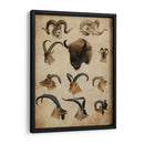 Trofeo Americano Iv - John Butler | Cuadro decorativo de Canvas Lab