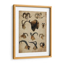 Trofeo Americano Iv - John Butler | Cuadro decorativo de Canvas Lab