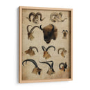 Trofeo Americano Iv - John Butler | Cuadro decorativo de Canvas Lab