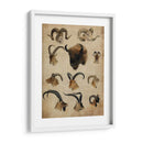 Trofeo Americano Iv - John Butler | Cuadro decorativo de Canvas Lab