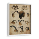 Trofeo Americano Iv - John Butler | Cuadro decorativo de Canvas Lab