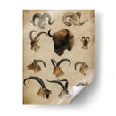 Trofeo Americano Iv - John Butler | Cuadro decorativo de Canvas Lab