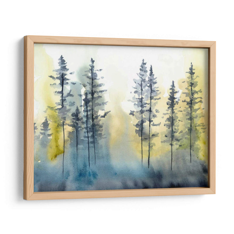 Sombra Forestal I - Chariklia Zarris | Cuadro decorativo de Canvas Lab