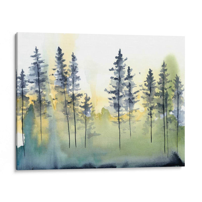 Sombra Forest Ii - Chariklia Zarris | Cuadro decorativo de Canvas Lab