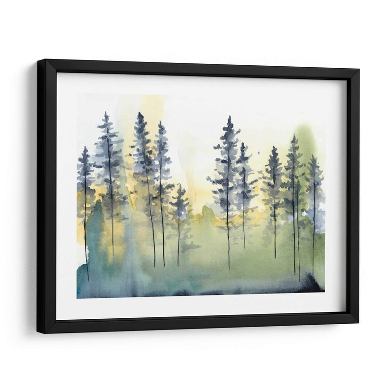 Sombra Forest Ii - Chariklia Zarris | Cuadro decorativo de Canvas Lab