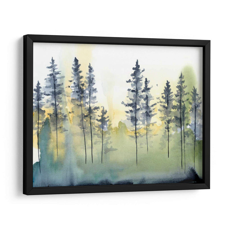 Sombra Forest Ii - Chariklia Zarris | Cuadro decorativo de Canvas Lab