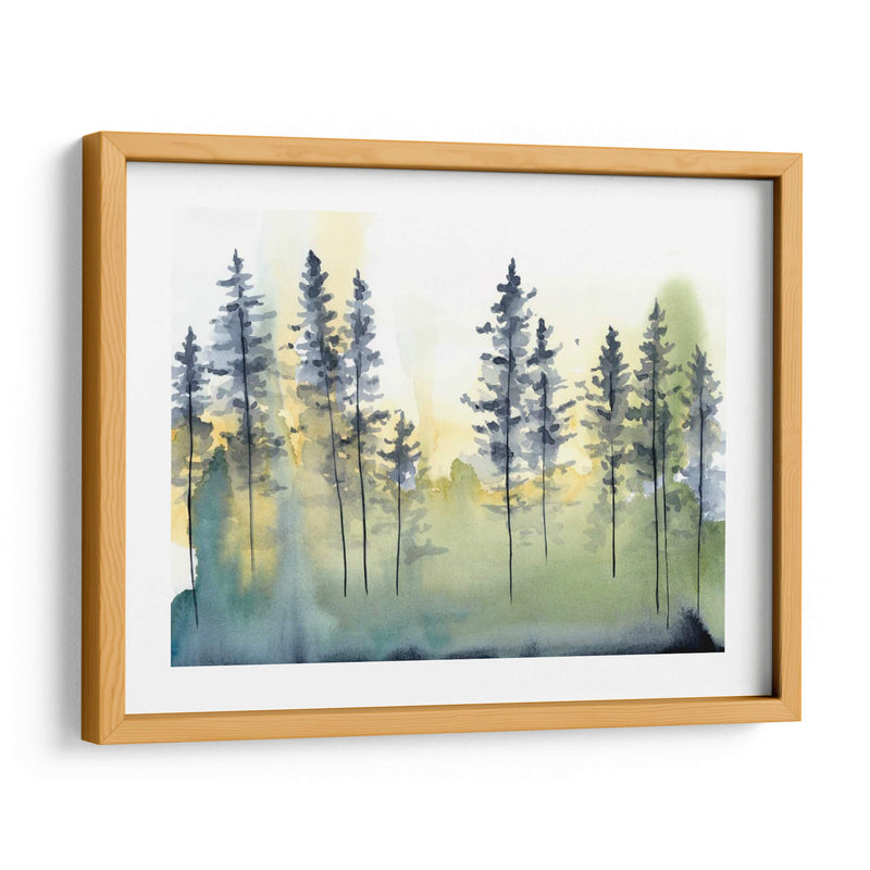 Sombra Forest Ii - Chariklia Zarris | Cuadro decorativo de Canvas Lab