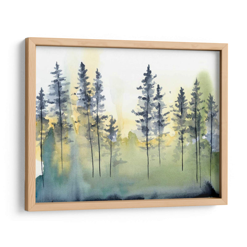 Sombra Forest Ii - Chariklia Zarris | Cuadro decorativo de Canvas Lab