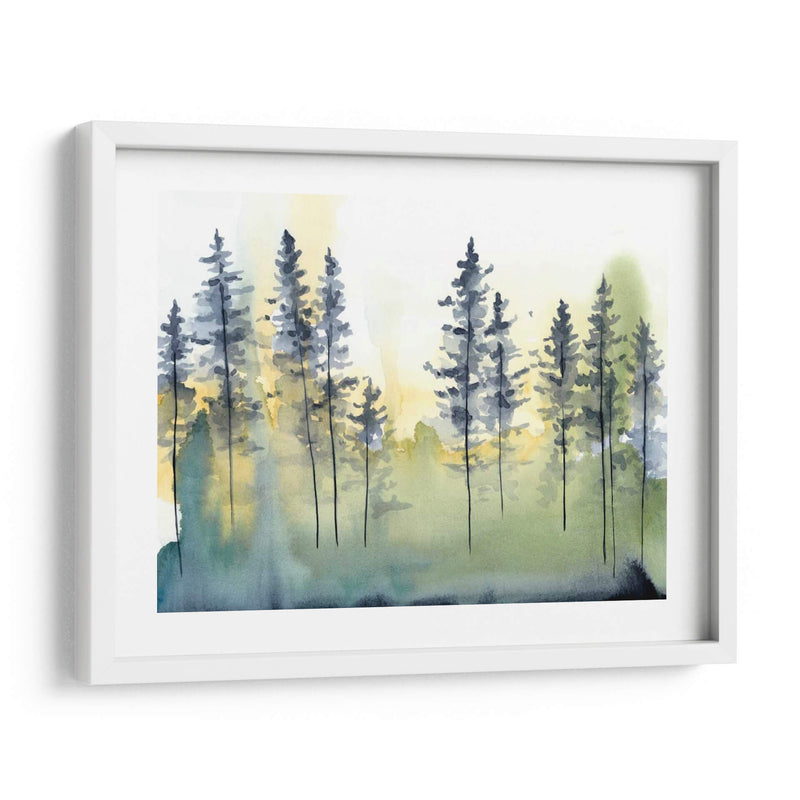 Sombra Forest Ii - Chariklia Zarris | Cuadro decorativo de Canvas Lab