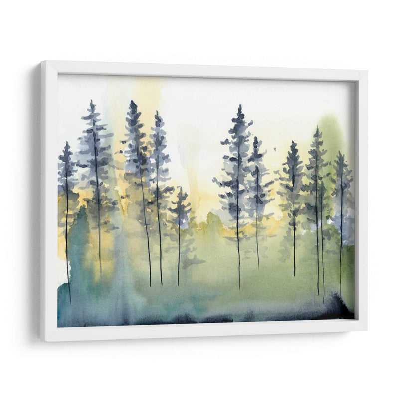 Sombra Forest Ii - Chariklia Zarris | Cuadro decorativo de Canvas Lab