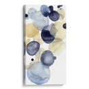 Asteroide Drift Ii - Grace Popp | Cuadro decorativo de Canvas Lab