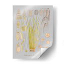 Elementos De Mar I - Jennifer Goldberger | Cuadro decorativo de Canvas Lab