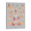 Elementos De Mar Ii - Jennifer Goldberger | Cuadro decorativo de Canvas Lab