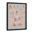 Elementos De Mar Ii - Jennifer Goldberger | Cuadro decorativo de Canvas Lab