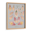 Elementos De Mar Ii - Jennifer Goldberger | Cuadro decorativo de Canvas Lab