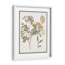 Flores Prensadas De Libros Ii - Jennifer Goldberger | Cuadro decorativo de Canvas Lab