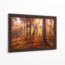 Bosque cálido | Cuadro decorativo de Canvas Lab