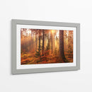 Bosque cálido | Cuadro decorativo de Canvas Lab