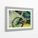 Bicicleta De Montaña - Sisa Jasper | Cuadro decorativo de Canvas Lab