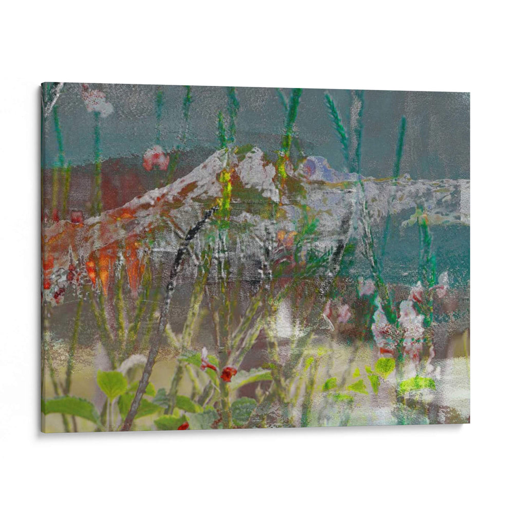 Flores Silvestres De Montaña Ii - Sisa Jasper | Cuadro decorativo de Canvas Lab