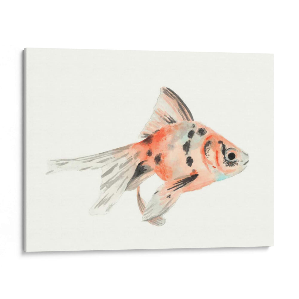 Acuarela Peces Tropicales I - Naomi McCavitt | Cuadro decorativo de Canvas Lab