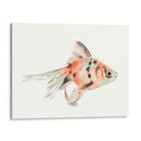 Acuarela Peces Tropicales I - Naomi McCavitt | Cuadro decorativo de Canvas Lab