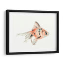 Acuarela Peces Tropicales I - Naomi McCavitt | Cuadro decorativo de Canvas Lab