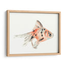 Acuarela Peces Tropicales I - Naomi McCavitt | Cuadro decorativo de Canvas Lab