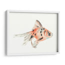 Acuarela Peces Tropicales I - Naomi McCavitt | Cuadro decorativo de Canvas Lab