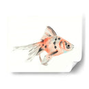 Acuarela Peces Tropicales I - Naomi McCavitt | Cuadro decorativo de Canvas Lab