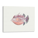 Acuarela Peces Tropicales Ii - Naomi McCavitt | Cuadro decorativo de Canvas Lab