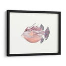 Acuarela Peces Tropicales Ii - Naomi McCavitt | Cuadro decorativo de Canvas Lab