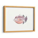 Acuarela Peces Tropicales Ii - Naomi McCavitt | Cuadro decorativo de Canvas Lab