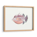 Acuarela Peces Tropicales Ii - Naomi McCavitt | Cuadro decorativo de Canvas Lab