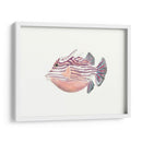 Acuarela Peces Tropicales Ii - Naomi McCavitt | Cuadro decorativo de Canvas Lab